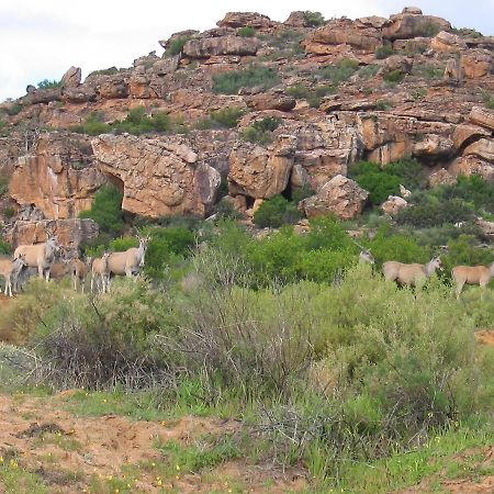 Traveller'S Rest Villa Clanwilliam Bagian luar foto