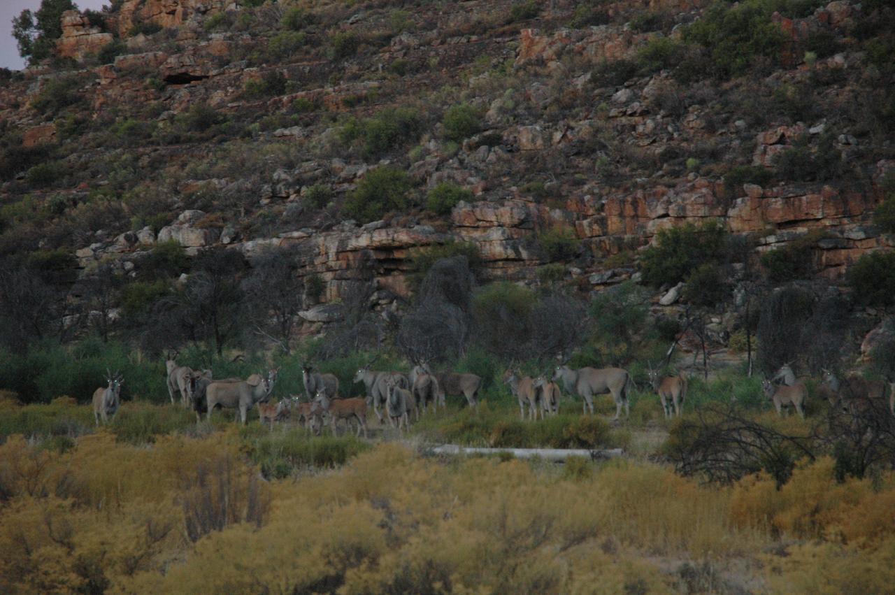 Traveller'S Rest Villa Clanwilliam Bagian luar foto
