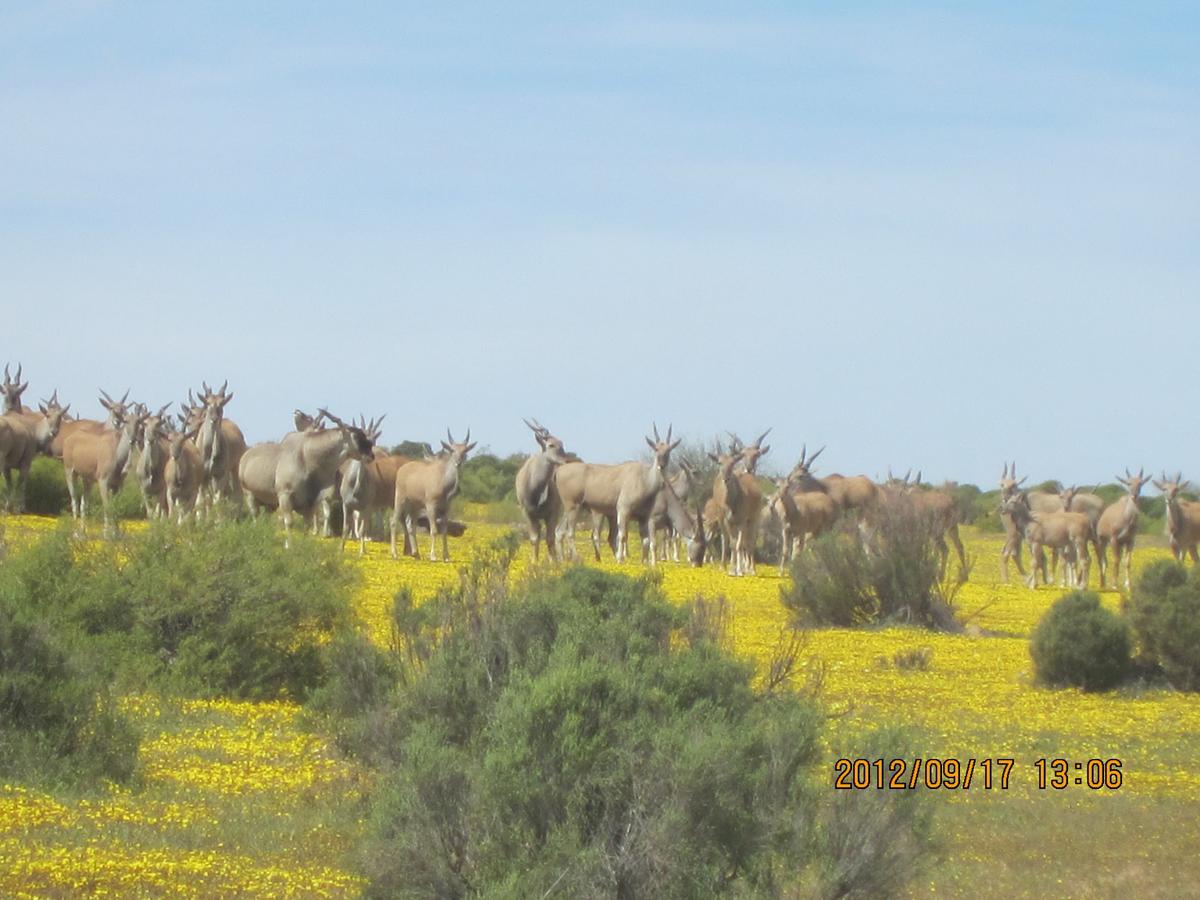Traveller'S Rest Villa Clanwilliam Bagian luar foto